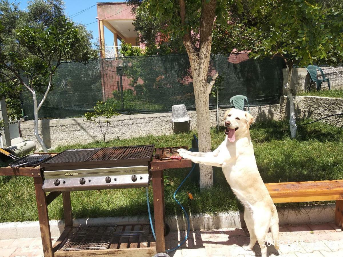 Casa Prifti * Vlorë
